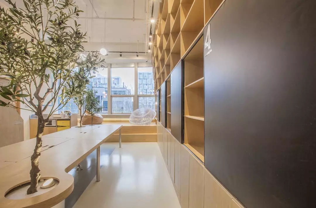 牛在墻上飛，猴子樹梢醉；這是在動(dòng)物園辦公嗎？